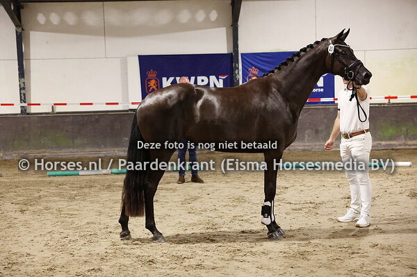 20 Riorika (Konig x Hope v. Chinook)