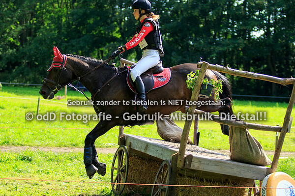 Eventing Zuid Holland - SGW Vlietland 16-06-19