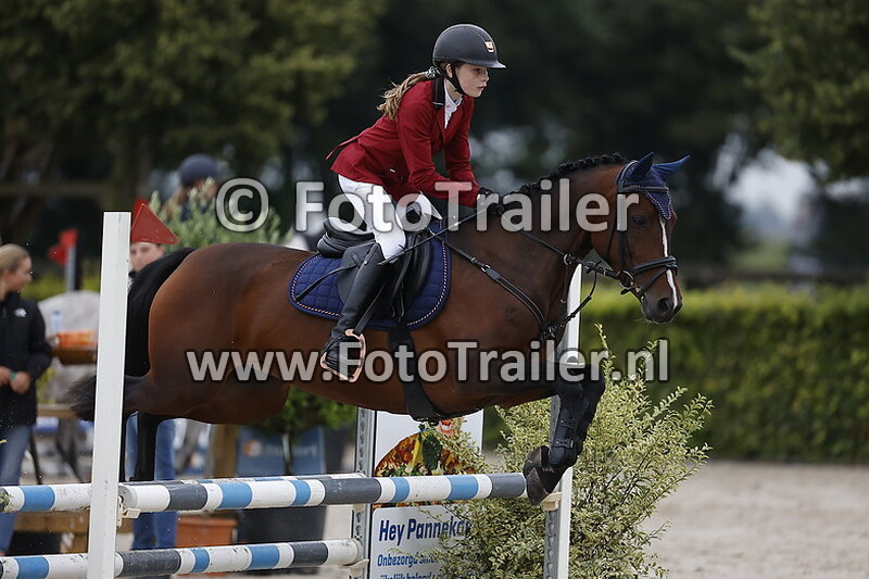 jo ann von der heide