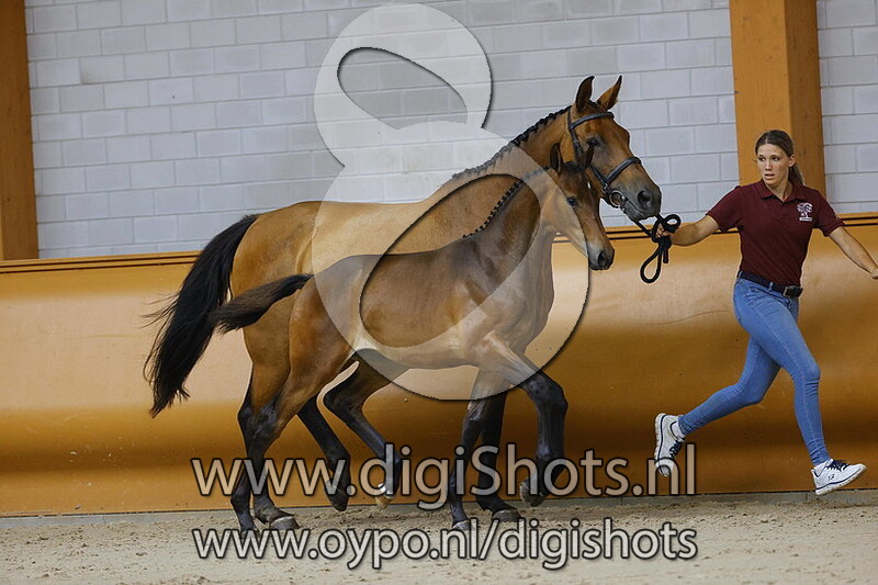 Penelope v. Jardonnay