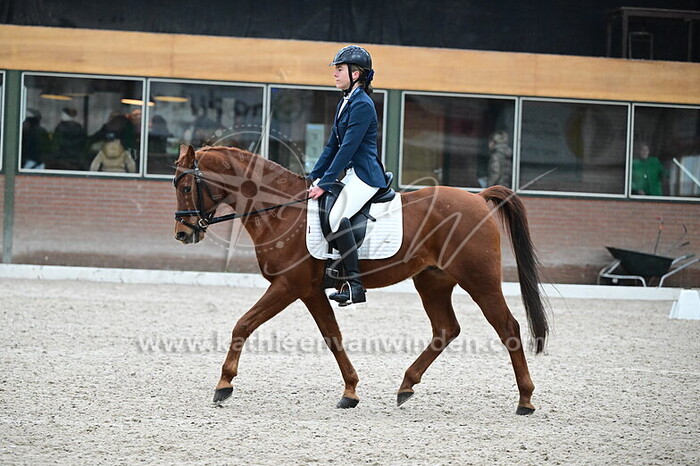 Fien de Groot - Sirius