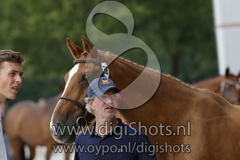 Tessa vd Elshof TN v. Eldorado van de Zeshoek TN