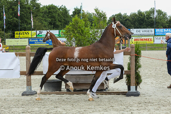 46 - Selinalien ( Cizandro x Eebert ) 