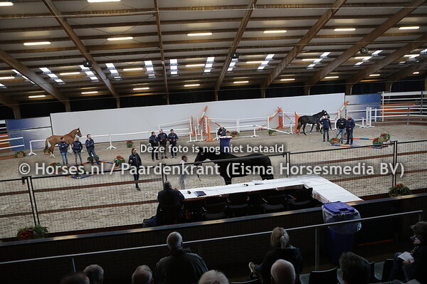 190212 KWPN 1e bez dag 5 springen 2019