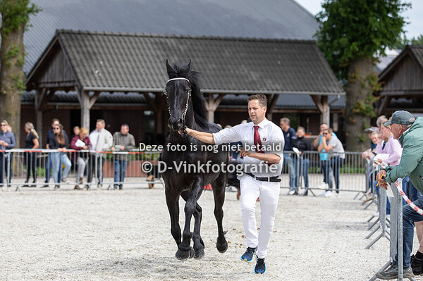 18. Vieve fan Stal Vrolijk