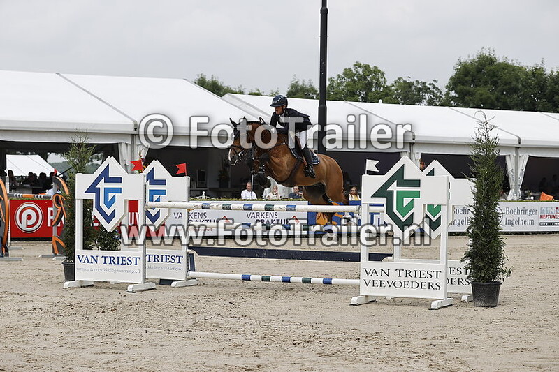 mareille van geel schroder