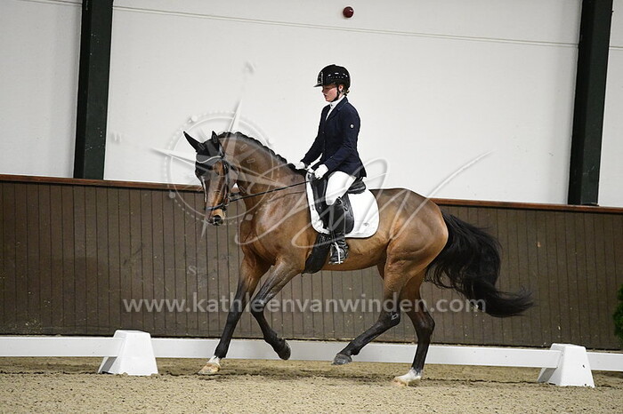 Noortje Bax - Naminka B