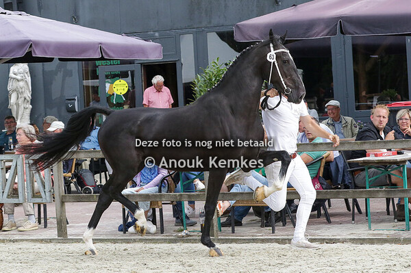 063 - ROSE KANE BFT X AHOY C.F. POST, EEMNES