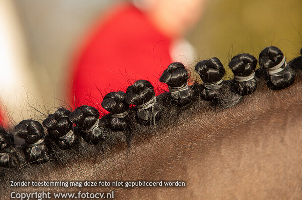 Slipjacht Heldersbroek 2025 - JVS