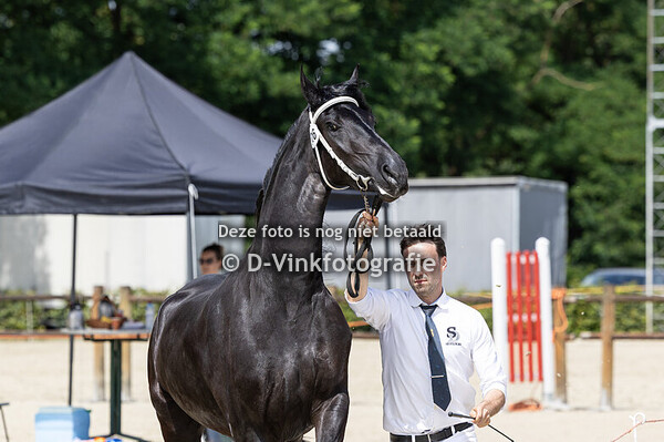 26. Vaya van de Hoeksche Hoeve