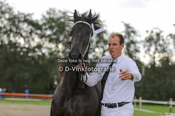 37. Metske van de Lokven Hoeve