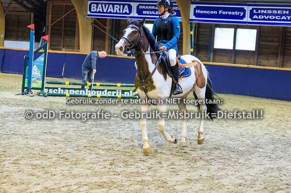 Geldrop Hippique oefen 40cm  11-10-25