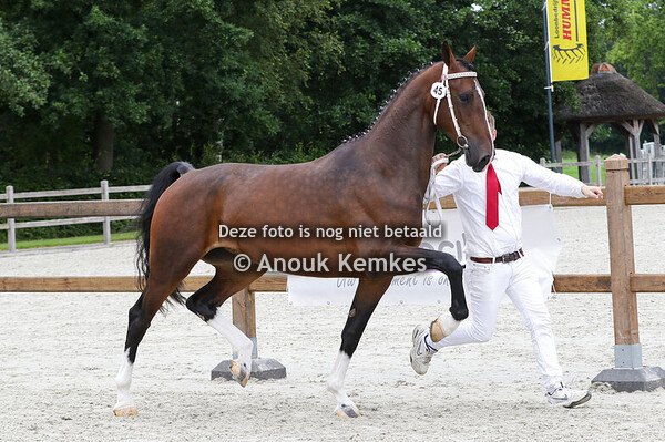 045 - RIROSE S CIZANDRO X PATIJN M F PIETERSMA, NIJEMIRDUM