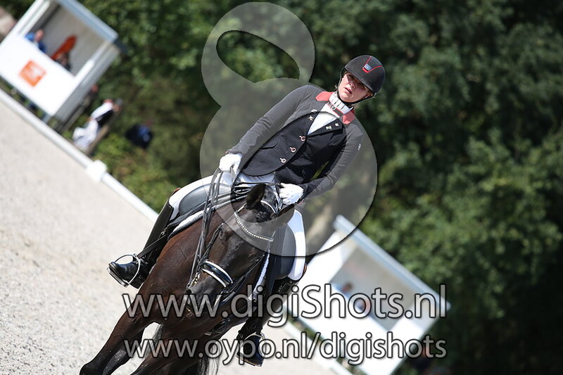 Z1 paarden dressuur Ring 5