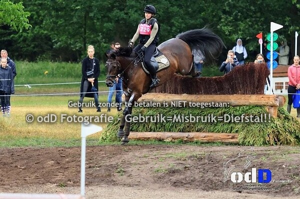 Maarsbergen Horse Trials 01-07-23