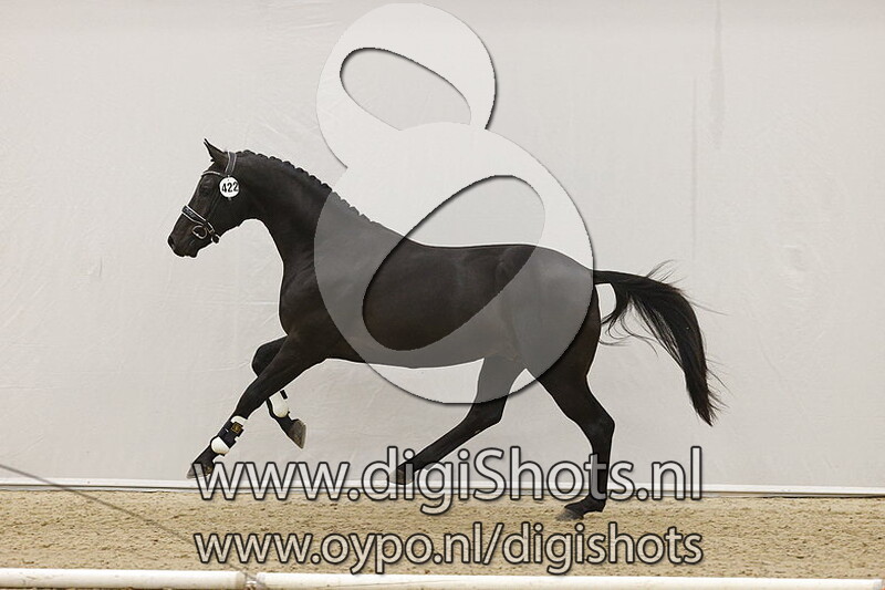 No Nonsens R v. Furstenball