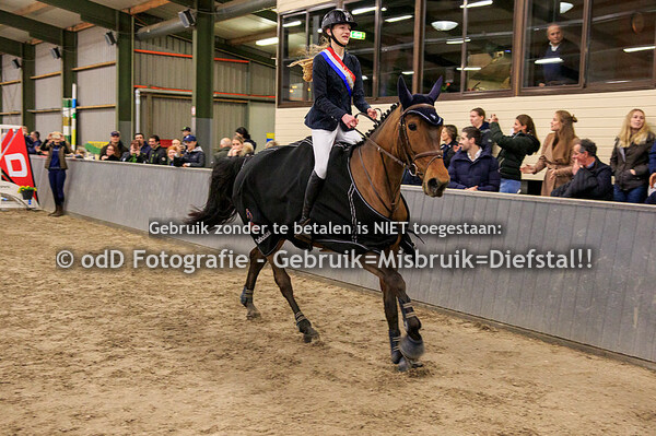 KNHS Regiokampioenschappen springen Limburg (B) 16-02-20