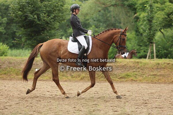 M1 & M2 – Paas Zomer Competitie Vlagtwedde (27 juli 2025)