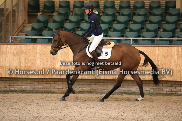 5 Larenchidee DN v Arezzo VDL