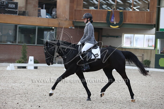 Quinty Mayer - Feng-Bo