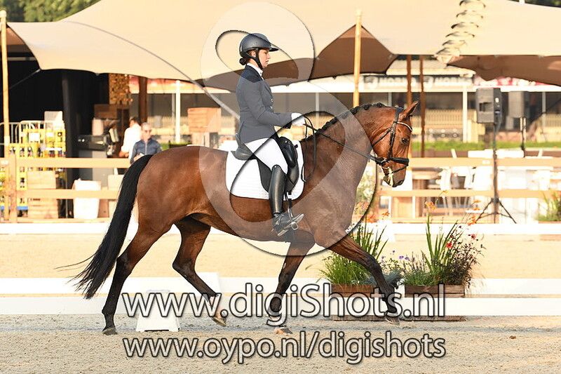 Ring 5 L2 Paarden Ochtend