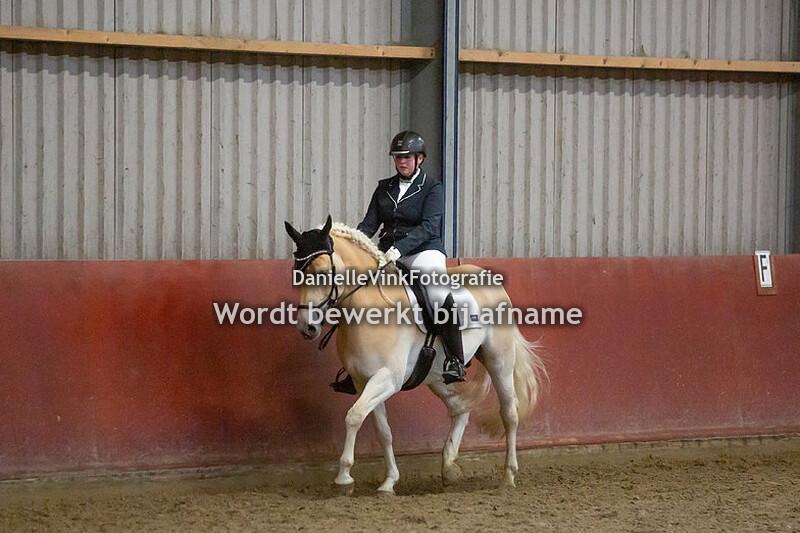 07. Klasse 7 L2 paard