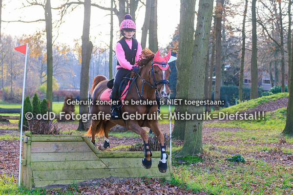 Trainingen Margo Millstream Groep 1 13.15 01-12-24