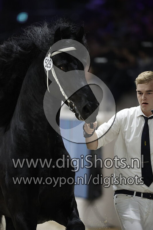 Hilbert 529 v. Haike 482