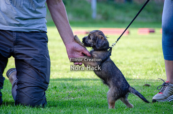 Vrijdag 17 juli 2020