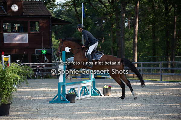 03/07 Paarden clear round 60 