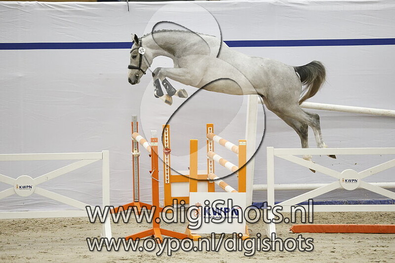 Emergenzy v. Emerald van 't Ruytershof