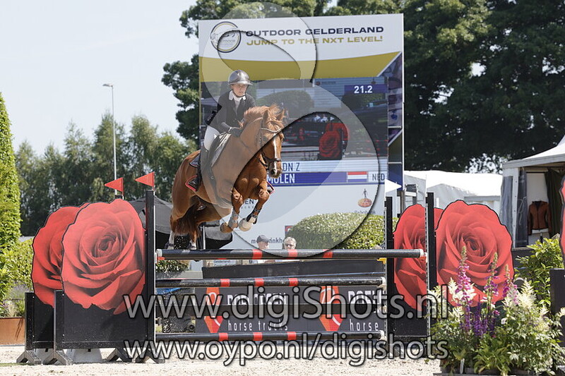 Chiolita Rose Dn ZÂ 