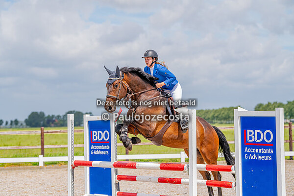 Beemster Ruiters Paard 100cm