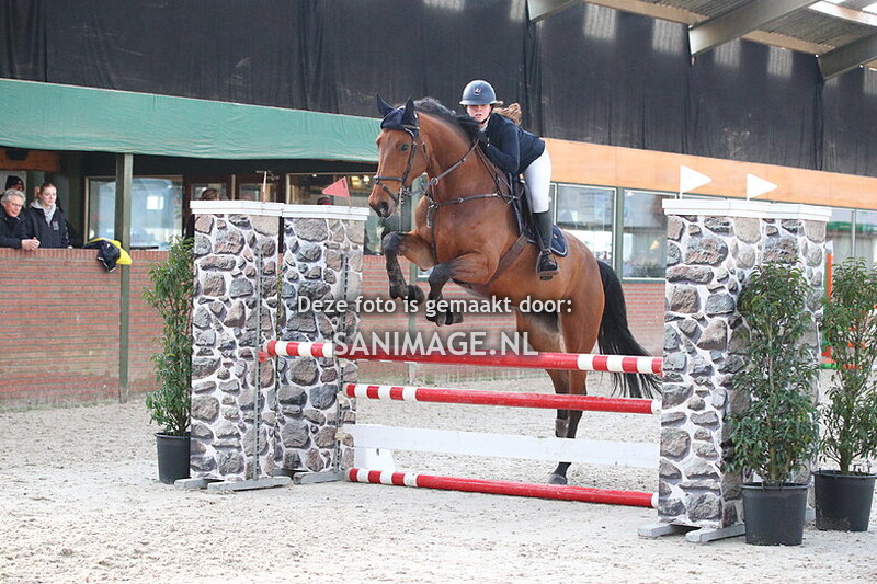 Stal Groenendaal springen paarden 12-01-2025 100 cm