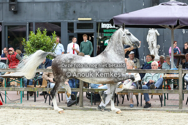 68 - Oudine (Olympia)  ( Idol x Waterman )