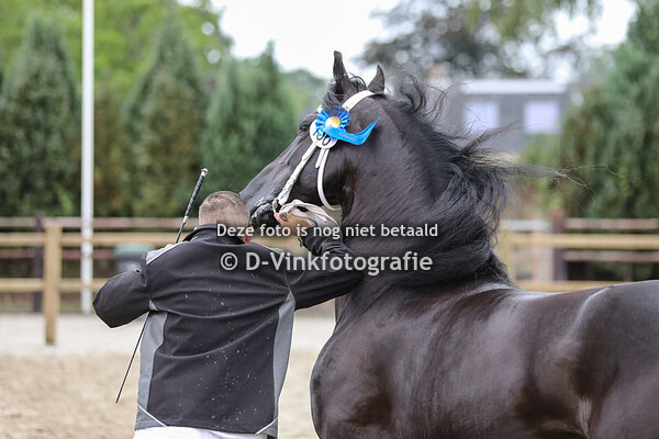 136. Vloraine van Bedem