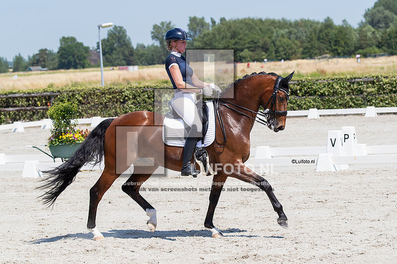 Outdoor Regio Dressuur