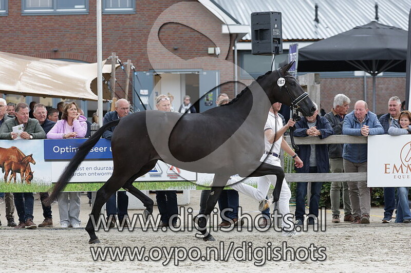 Sarona H v. Glocks Toto Jr