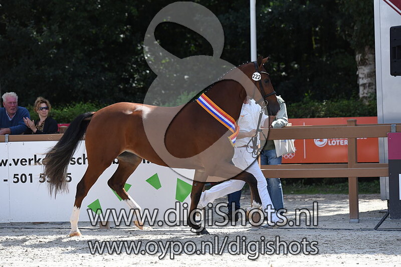 Klarinetty v. Alexandro P