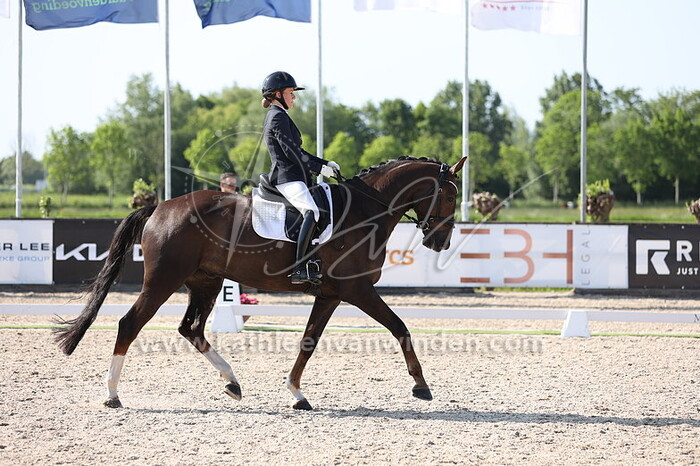 Dominique Struijk - Notting Hill