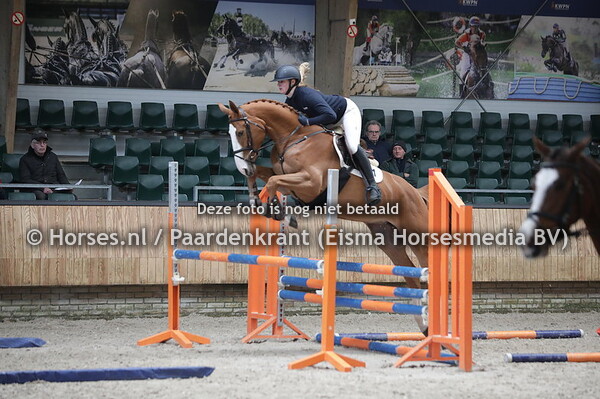 11 Netflix van de Wolfshoeve (Aganix du Seugneur x Knappie van de Wolfshoeve)