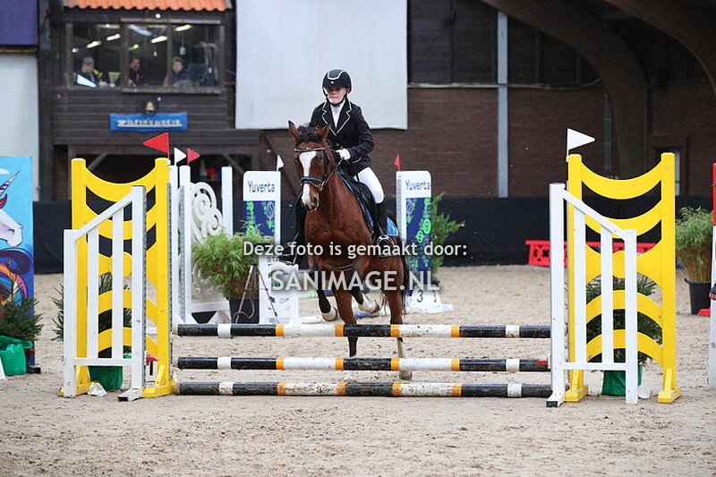 Zilfia's Hoeve Springen pony's 04-02-2024 Manegeruiters