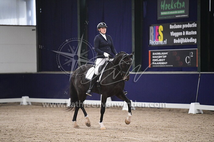 Maartje Wijngaard - Fortunato