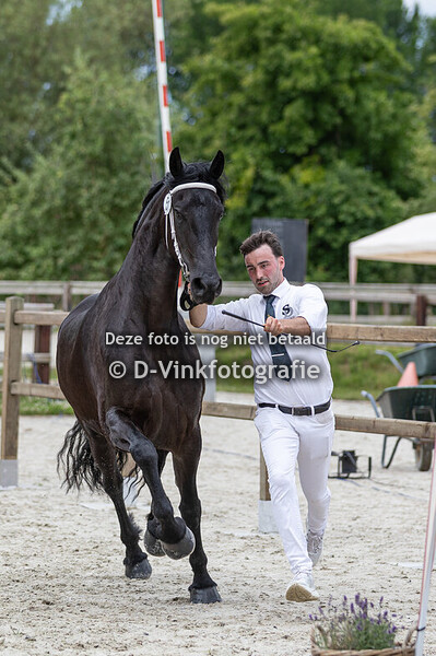 51. Synke ut de Weeren