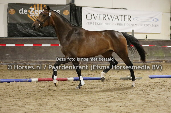 72 Obrigada (For Romance x Cambada v. Polansaky)