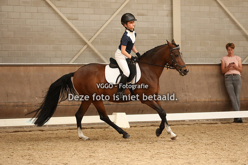 Dressuur & springen 15.00-17.30 uur