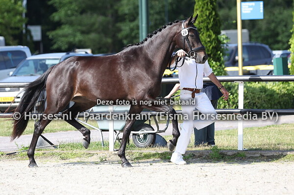 26 SCOOBYLOU  MTH (ZIYECHx LOBILOU MTHv.  GOVERNOR)