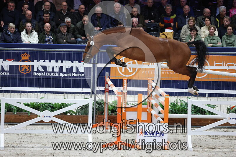 Santiago v. Checkter