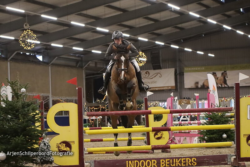 Indoor Beukers 30-12-2022 120cm Klassiek