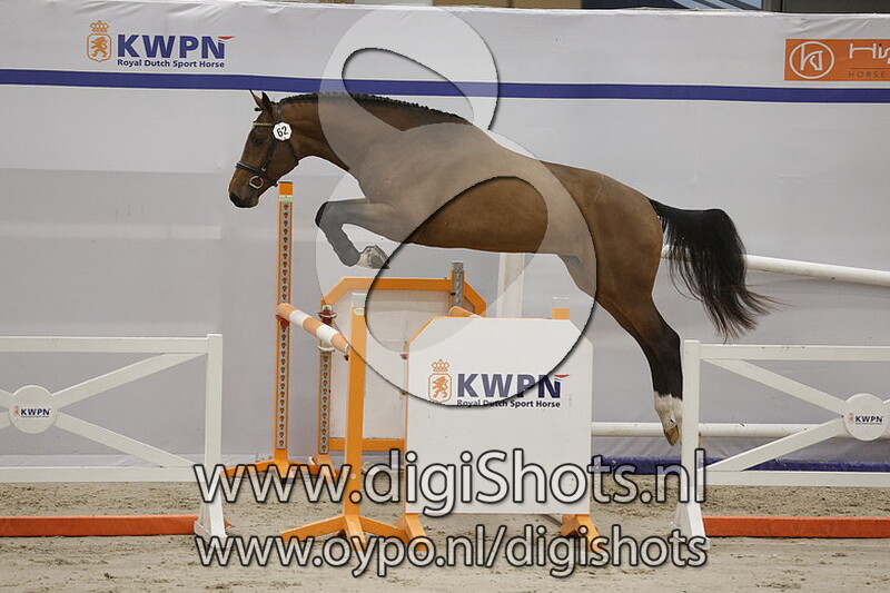 Victor Optimus v. Emerald Van 't Ruytershof - 062